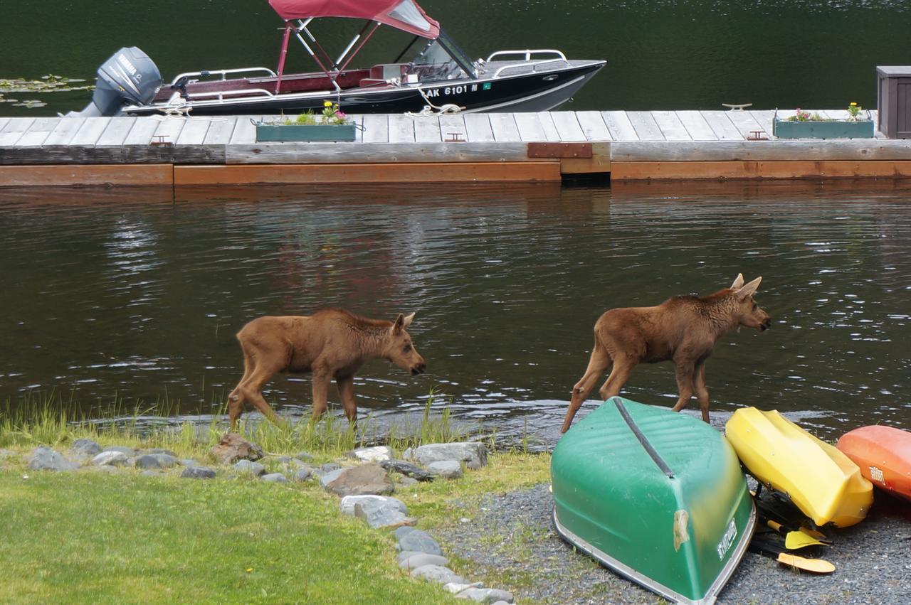 Bear Lake Lodgings B&B, Inc Seward Esterno foto