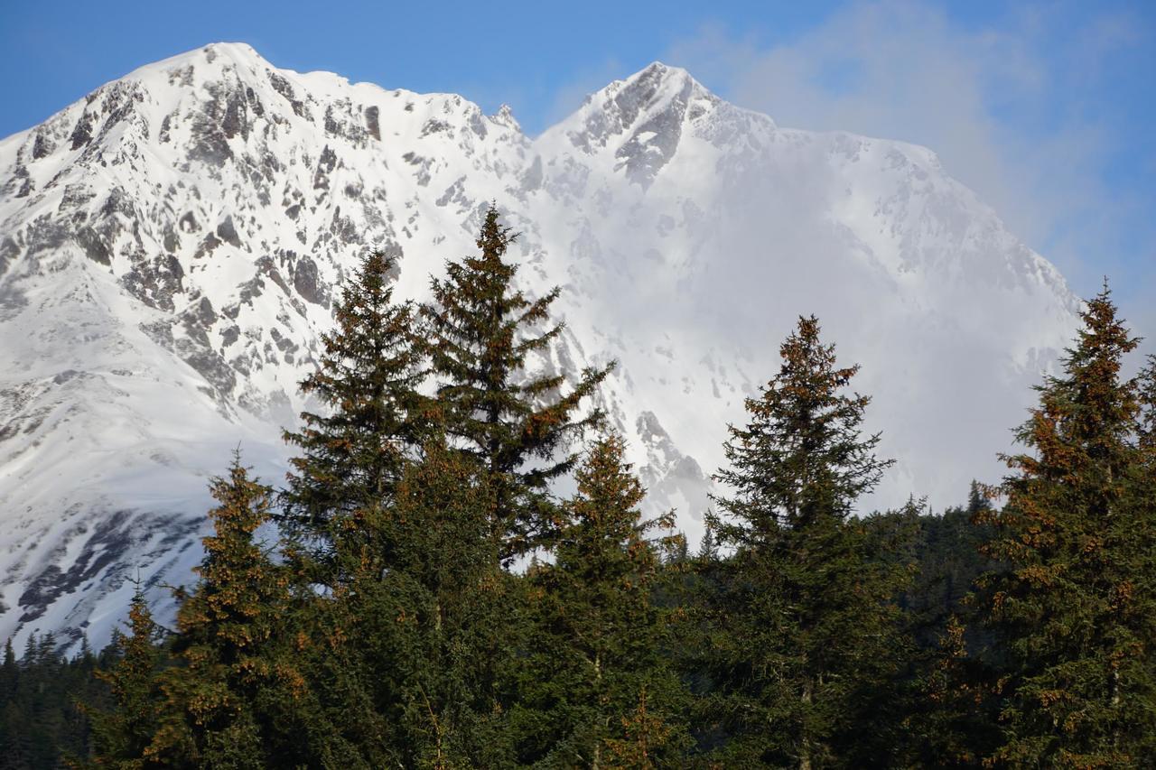 Bear Lake Lodgings B&B, Inc Seward Esterno foto